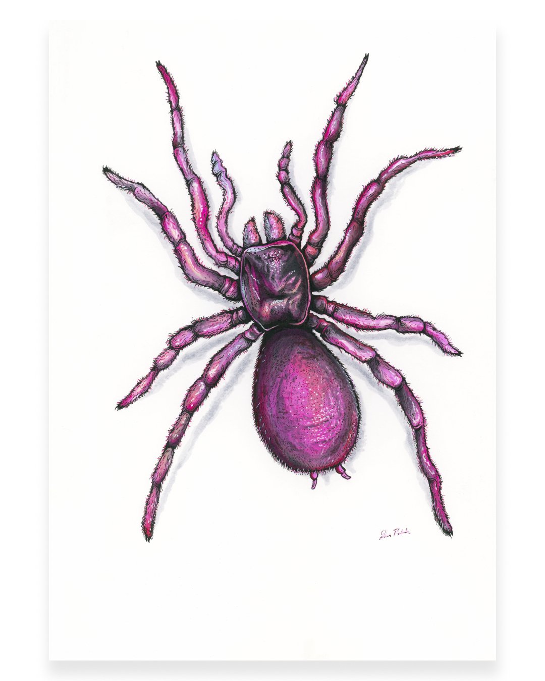 James Patrick - Home